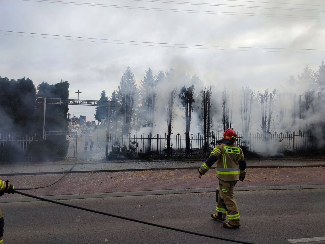 Pożar na cmentarzu w Kidałowicach. Ogień uszkodził samochód osobowy