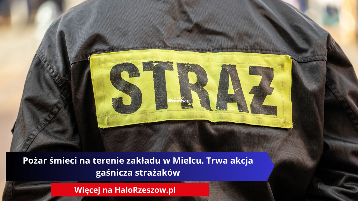 Pożar śmieci na terenie zakładu w Mielcu. Trwa akcja gaśnicza strażaków Pożar śmieci na terenie zakładu w Mielcu. Trwa akcja gaśnicza strażaków