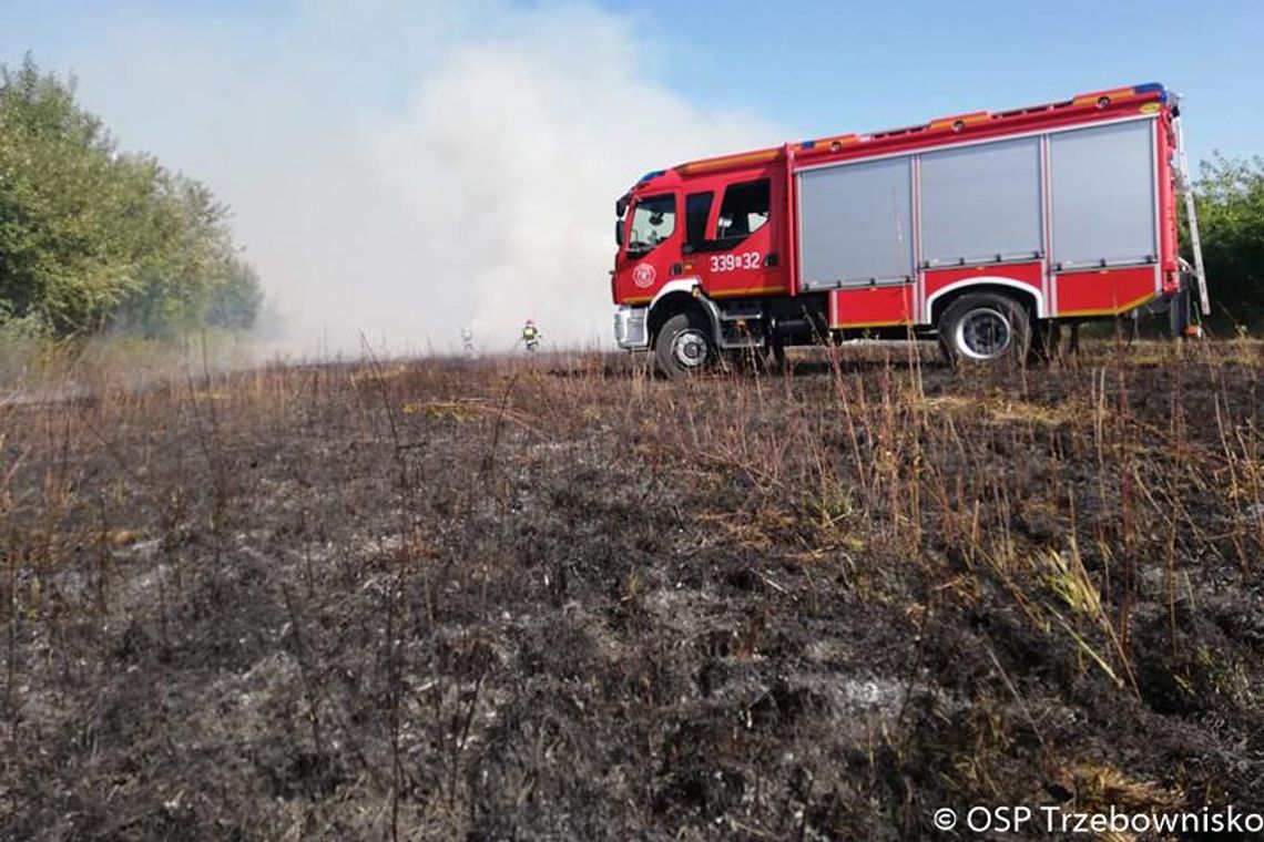 Pożar traw w Trzebownisku