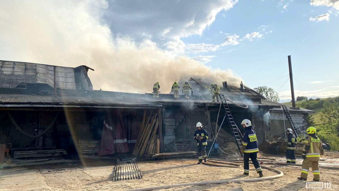 Pożar zakładu drzewnego w Bukowsku. W akcji liczne zastępy strażaków