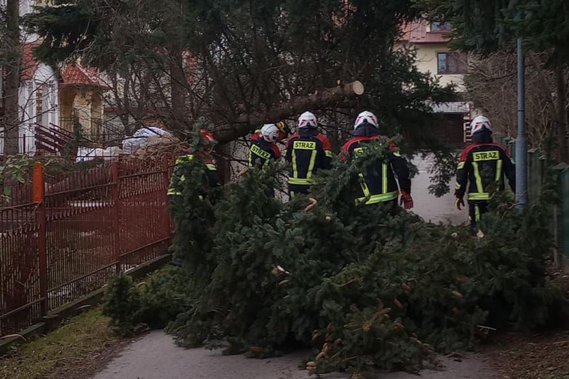 Prawie 100 interwencji strażaków w związku z silnym wiatrem