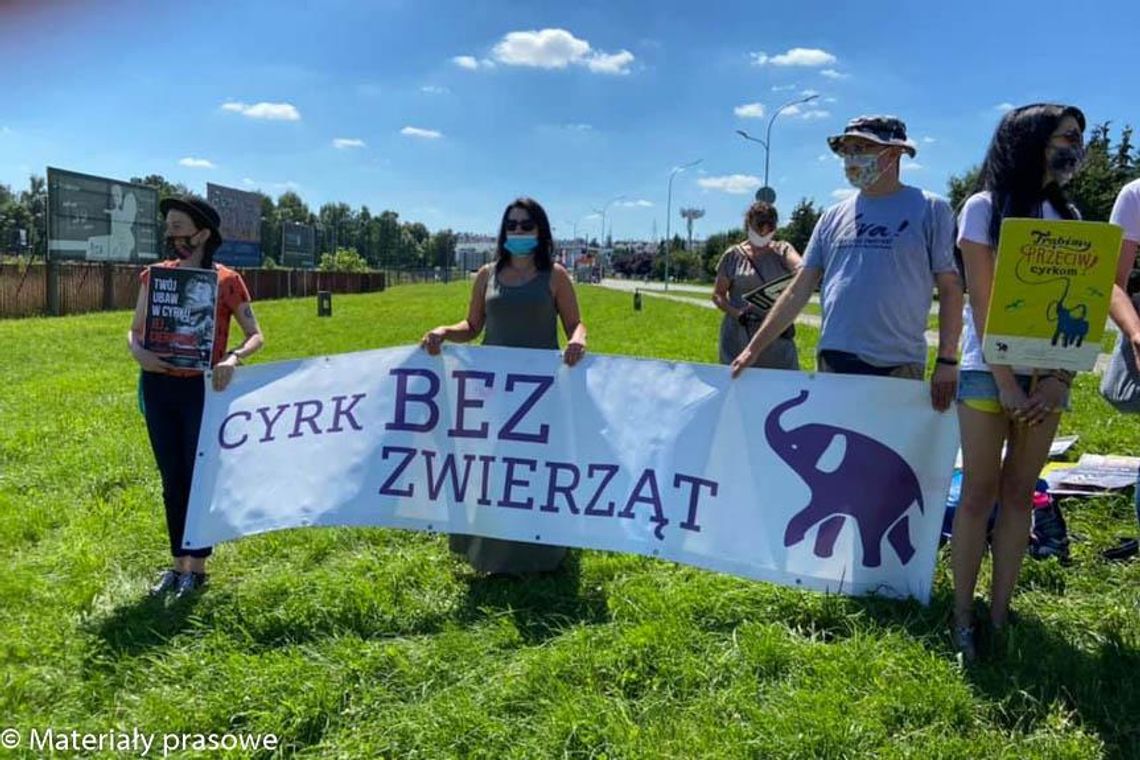 Protestowali przeciwko cierpieniom zwierząt w cyrkach