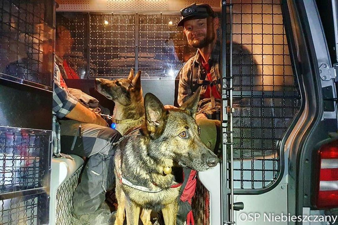 Ratownicy z rzeszowskiej grupy STORAT odnaleźli zaginionego grzybiarza