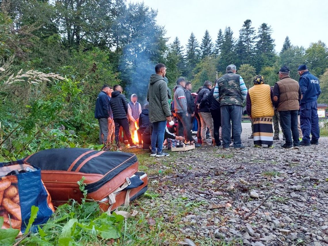 Rumuńscy grzybiarze przeczesują podkarpackie lasy za grzybami [ZDJĘCIA]