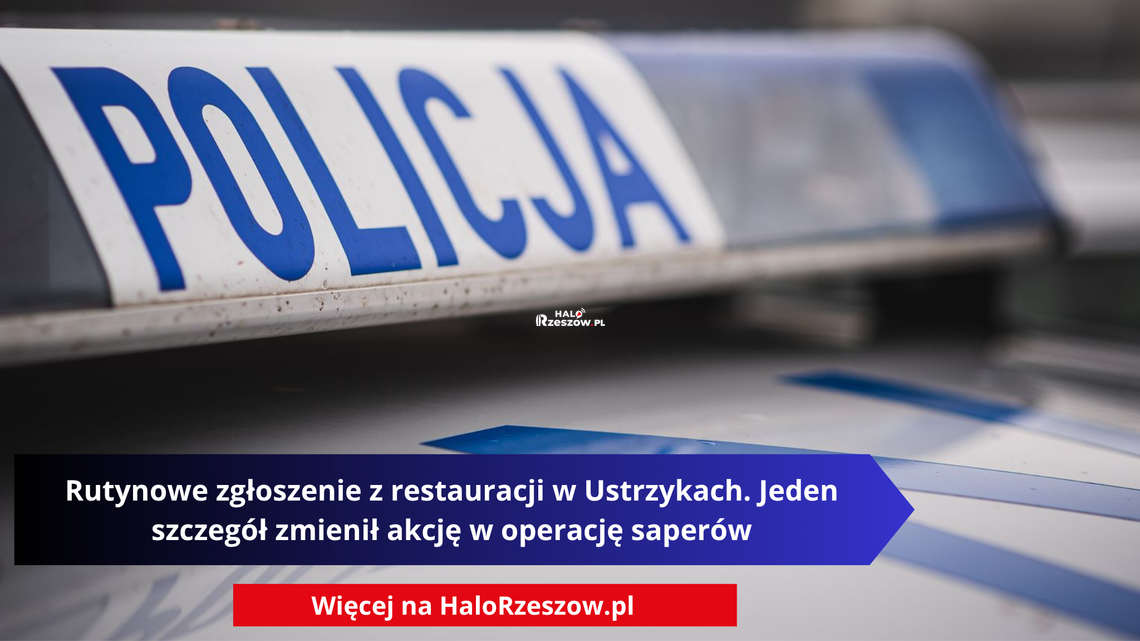 Rutynowe zgłoszenie z restauracji w Ustrzykach. Jeden szczegół zmienił akcję w operację saperów Rutynowe zgłoszenie z restauracji w Ustrzykach. Jeden szczegół zmienił akcję w operację saperów