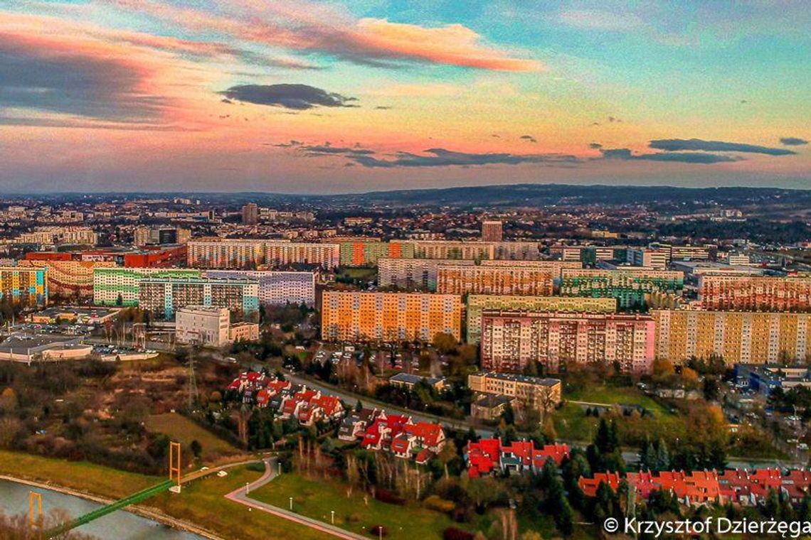 Rzeszów. Na Podwisłoczu wytną kolejne drzewa