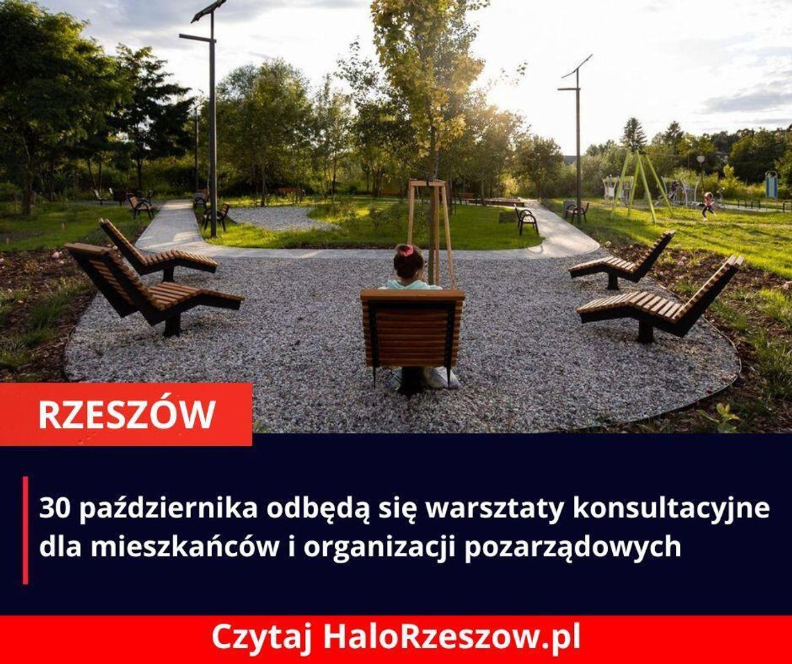 Rzeszów przygotowuje się na zmiany klimatu. Mieszkańcy i organizacje pozarządowe mogą mieć wpływ na działania miasta Rzeszów przygotowuje się na zmiany klimatu. Mieszkańcy i organizacje pozarządowe mogą mieć wpływ na działania miasta