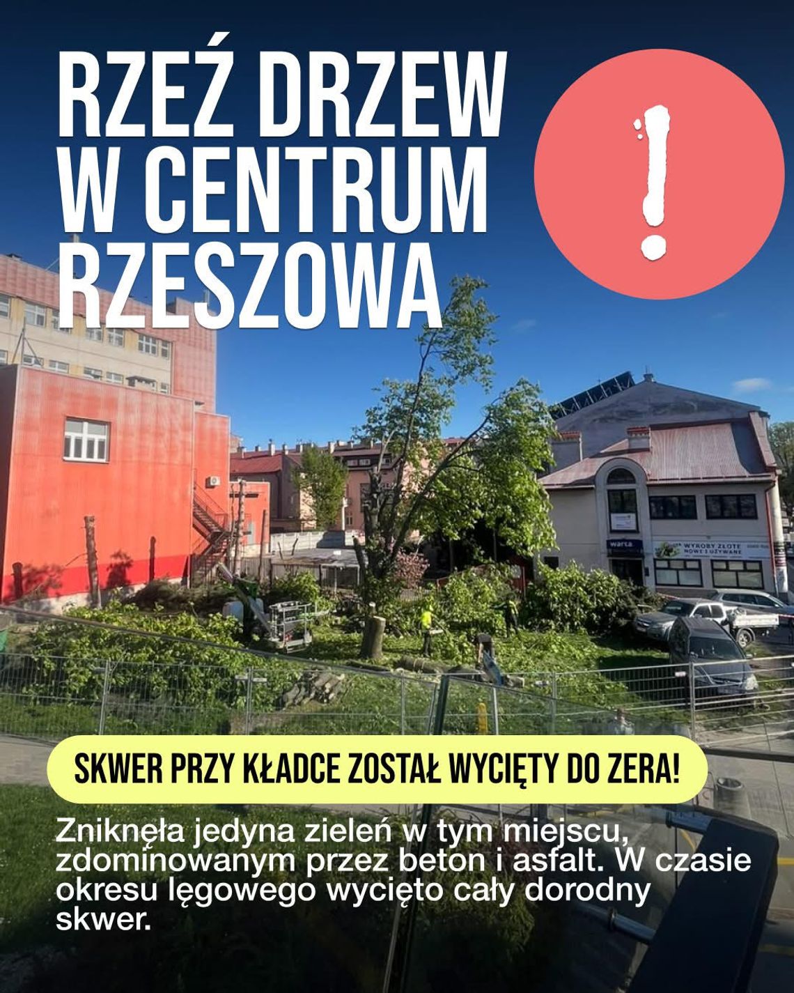 Rzeź drzew w sercu Rzeszowa. Kto wydał na to zgodę?