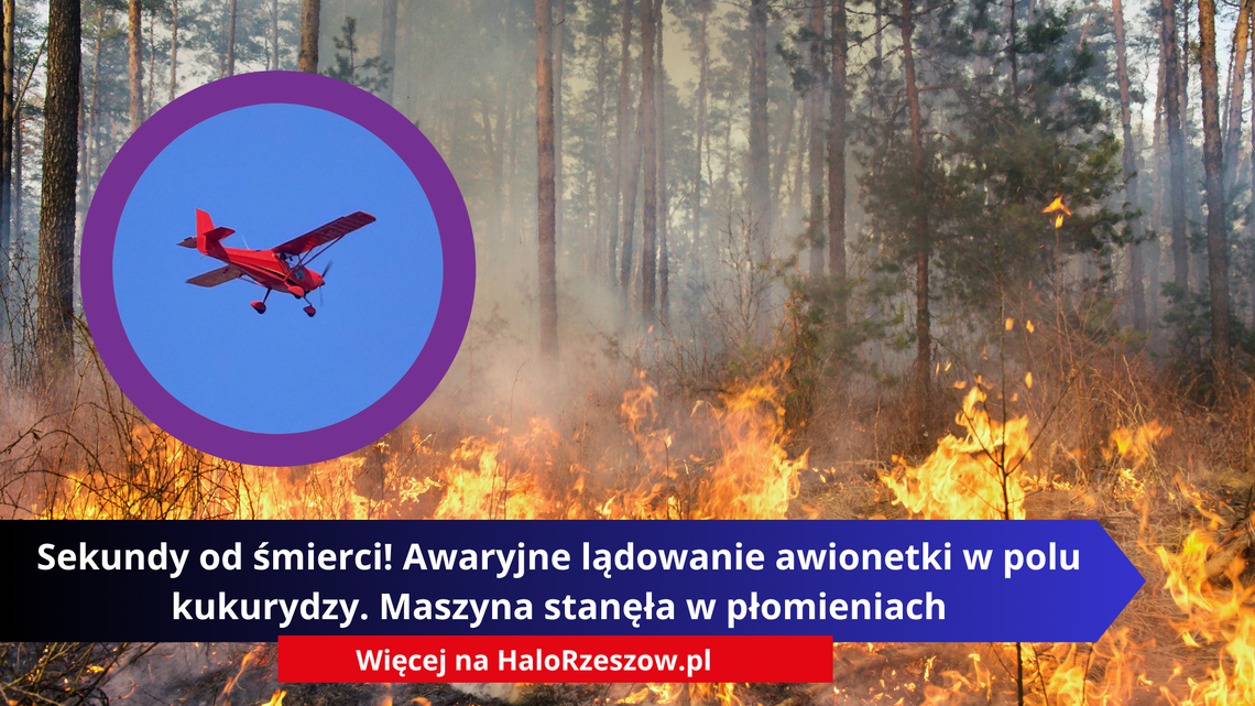 Sekundy od śmierci! Awaryjne lądowanie awionetki w polu kukurydzy. Maszyna stanęła w płomieniach Sekundy od śmierci! Awaryjne lądowanie awionetki w polu kukurydzy. Maszyna stanęła w płomieniach