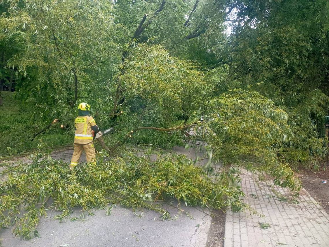 Skutki przelotnych opadów. Strażacy interweniowali w Niechobrzu