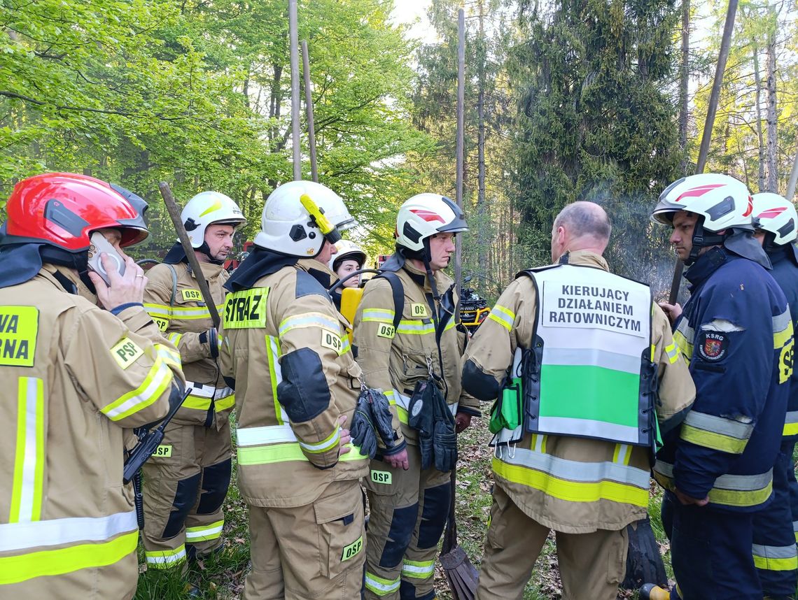 Strażacy opanowali pożar torfowiska w rezerwacie "Źródliska Jasiołki"