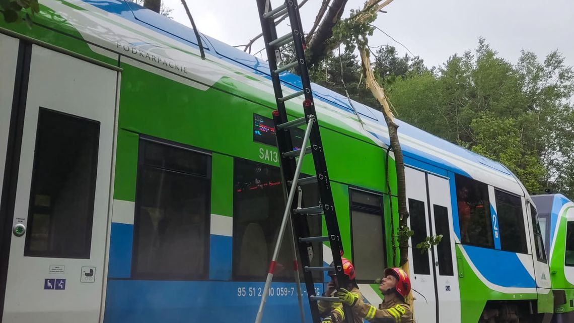 Szynobus najechał na drzewo. Pociągiem jechało ok. 100 osób