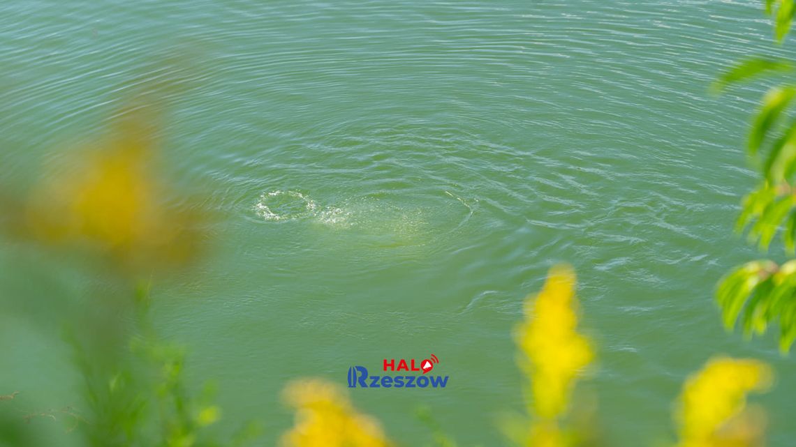 Tragedia nad jeziorem. 60-latka straciła przytomność podczas nurkowania i zmarła w szpitalu