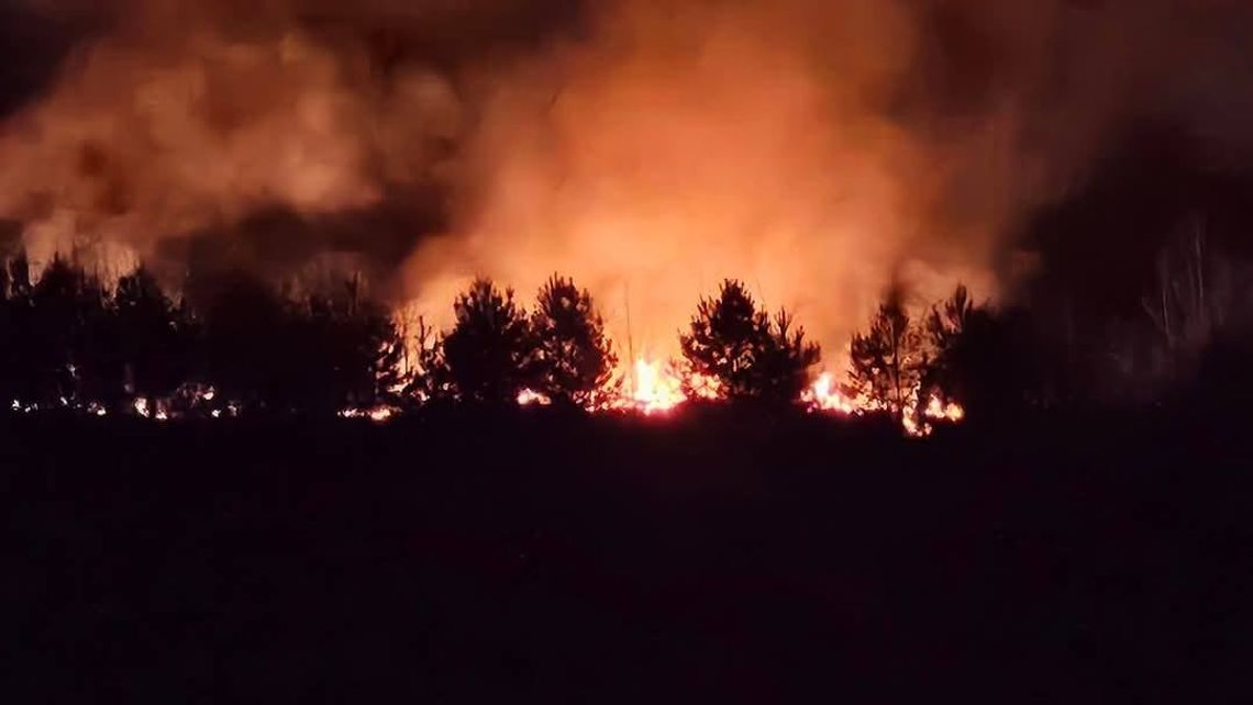 Trudna noc strażaków: Pożar nieużytków w Niechobrzu