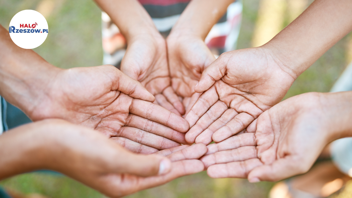 Trwa nabór do projektu GO NGO! Organizacje z Podkarpacia mogą liczyć na szerokie wsparcie Trwa nabór do projektu GO NGO! Organizacje z Podkarpacia mogą liczyć na szerokie wsparcie