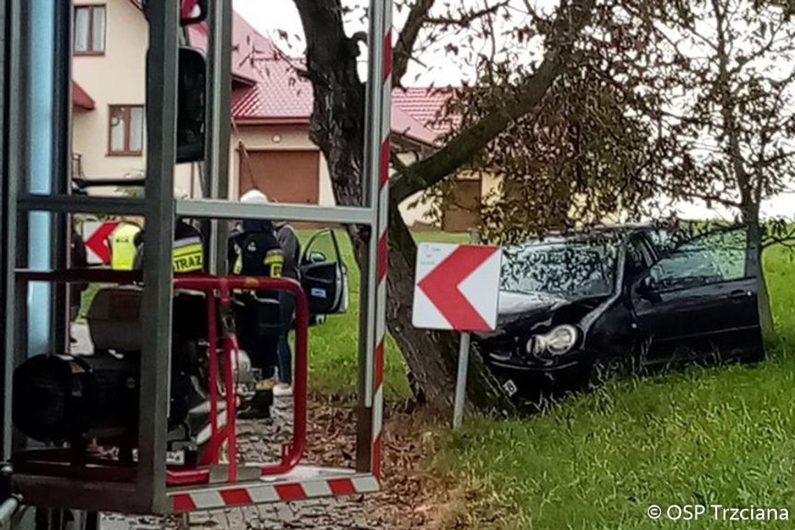 Trzciana. Samochód uderzył w drzewo