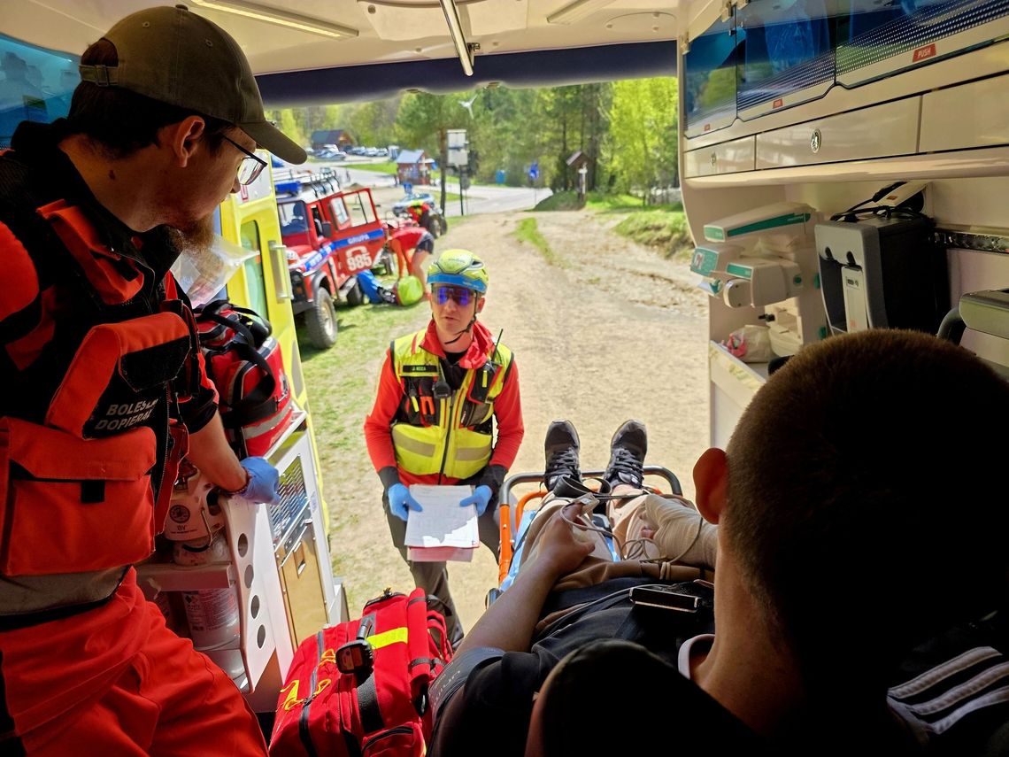Turysta ukąszony przez żmiję w Bieszczadach – GOPR apeluje o rozwagę