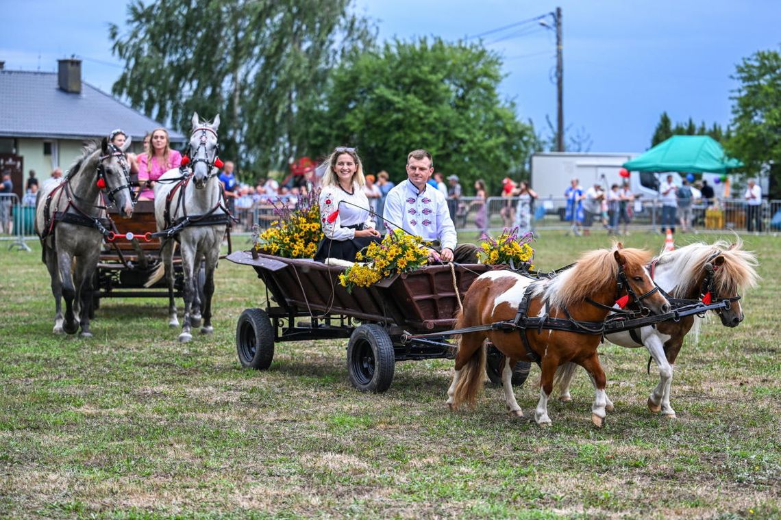 Woźnice i konie, czyli Zlot Furmanek w Furmanach k. Gorzyc