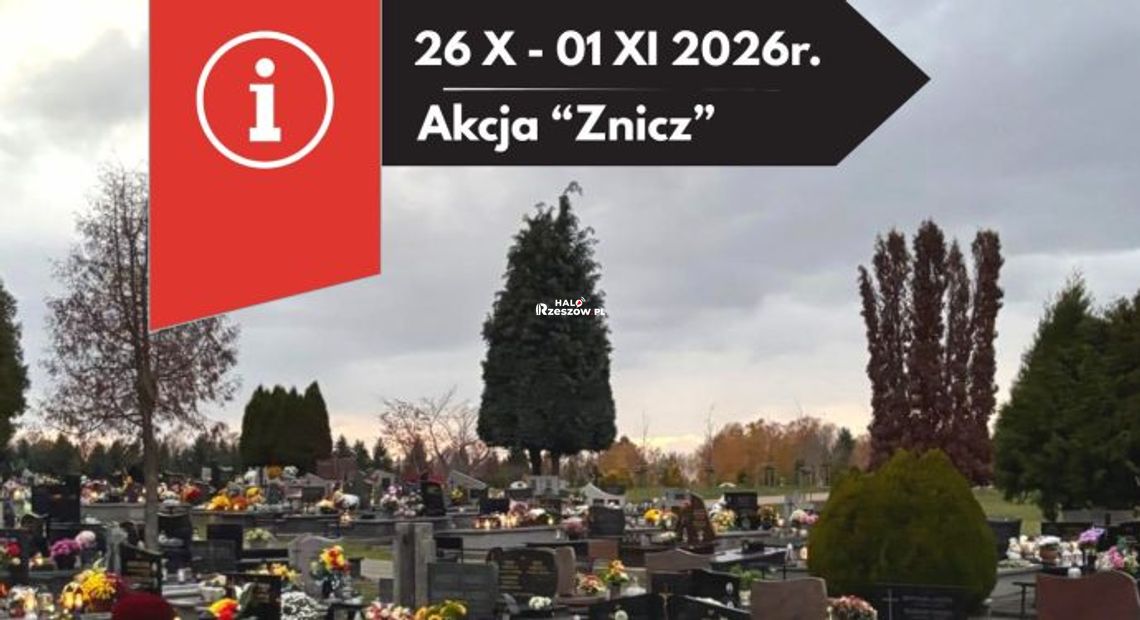 Wszystkich Świętych w Rzeszowie. Sprawdź, jak dojedziesz autobusami na cmentarze [ROZKŁAD JAZDY]