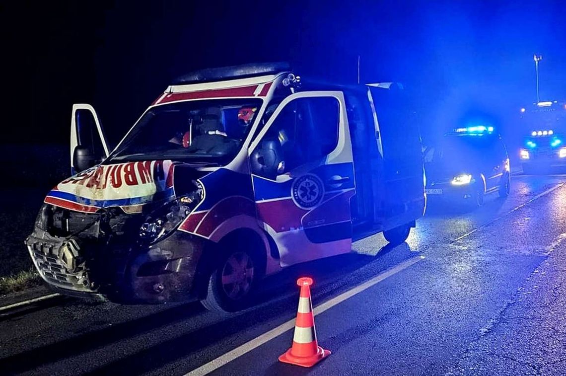 Zderzenie karetki pogotowia ratunkowego z dziką zwierzyną [ZDJĘCIA]