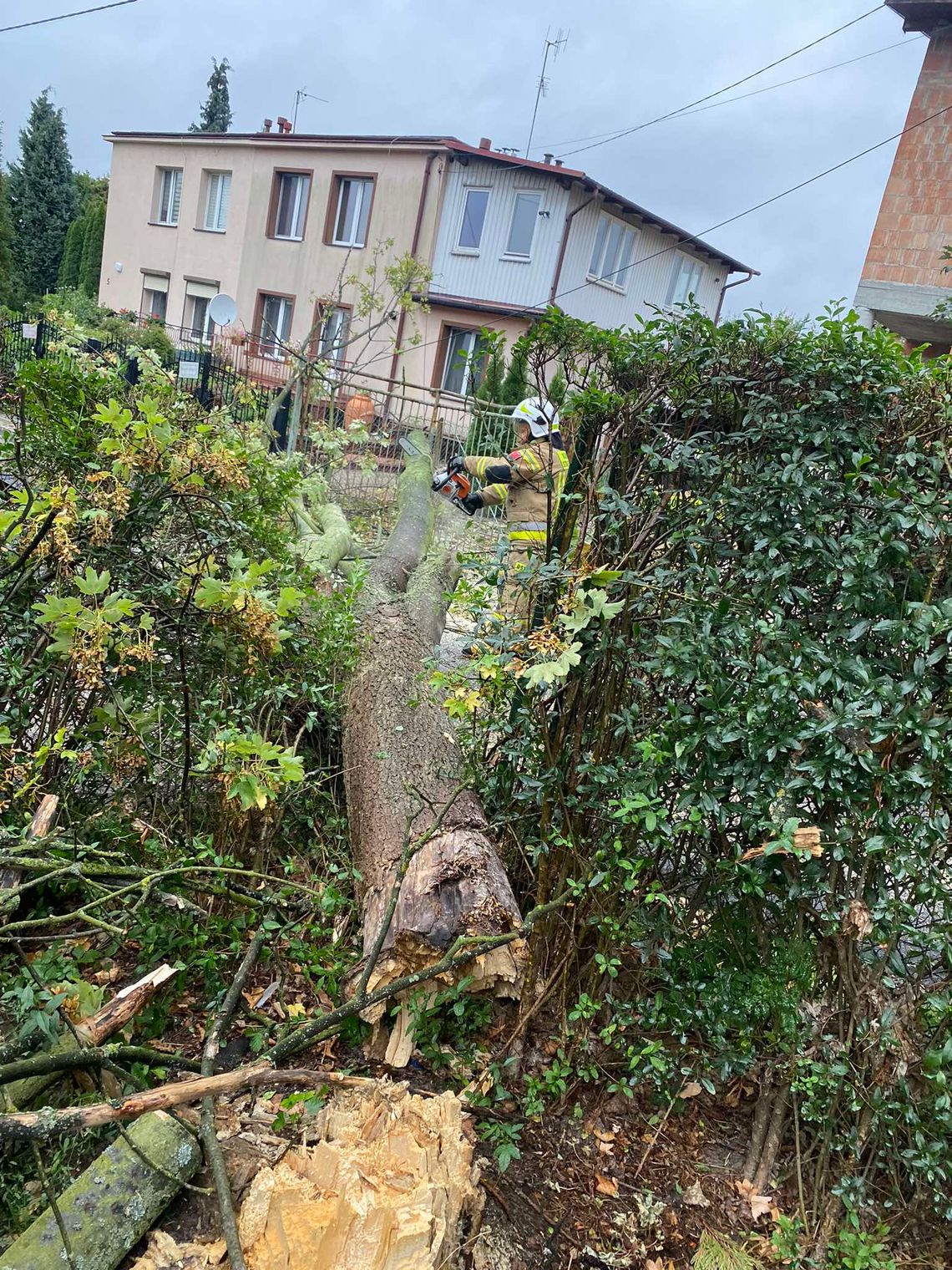 Zerwane dachy i linie energetyczne, powalone drzewa. 148 interwencji strażaków po burzach