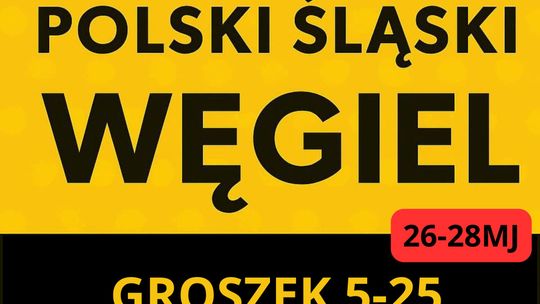 PROMOCJA POLSKI ŚLASKI WĘGIEL - GROSZEK - DARMOWA DOSTAWA