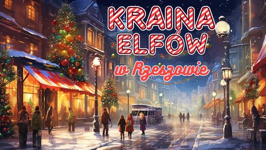 Kraina Elfów w Rzeszowie! Kraina Elfów w Rzeszowie