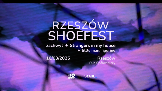 RZESZÓW SHOEFEST: zachwyt + Strangers in my House + little man, figurine