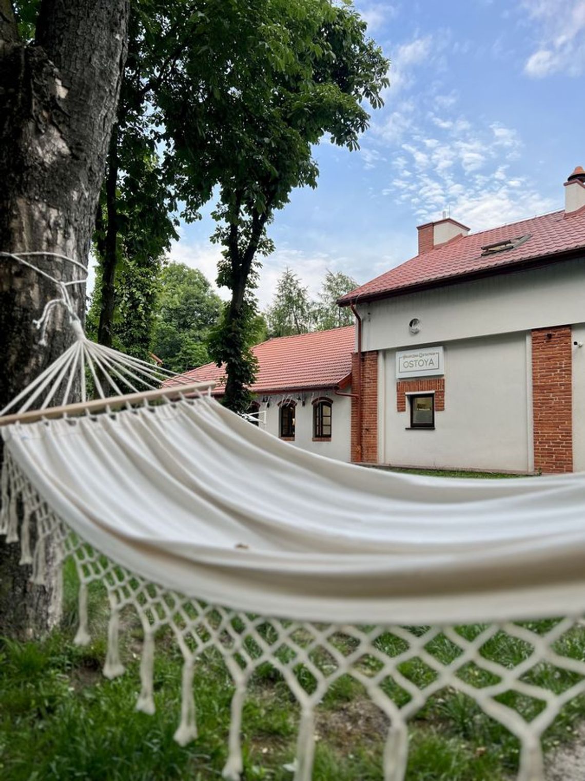 Powitanie wakacji - piknik świętojański Powitanie wakacji - piknik świętojański