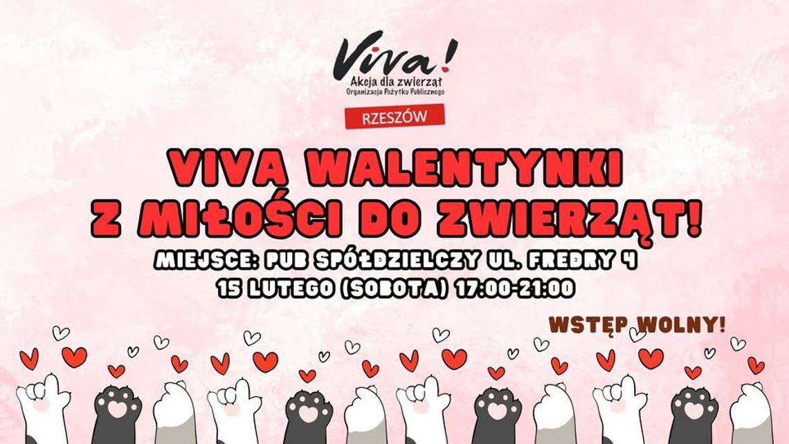 VIVA WALENTYNKI - Z MIŁOŚCI DO ZWIERZĄT!