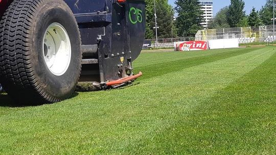 Zabiegi pielęgnacyjne na głównej murawie przy Wyspiańskiego 22