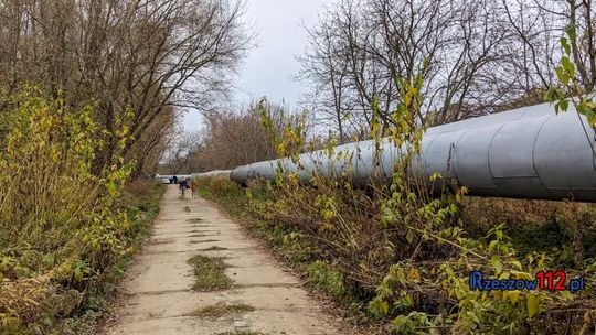 Akcja wydobywania kotka z rury ciepłowniczej w Rzeszowie