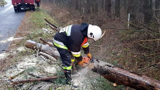 Interwencje straży pożarnej na Podkarpaciu z silnym wiatrem