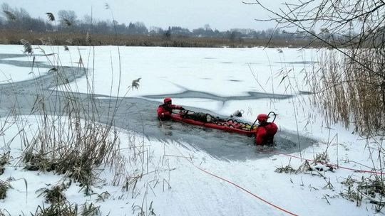 Rzeszów. Akcja ratowania sarny na zalewie