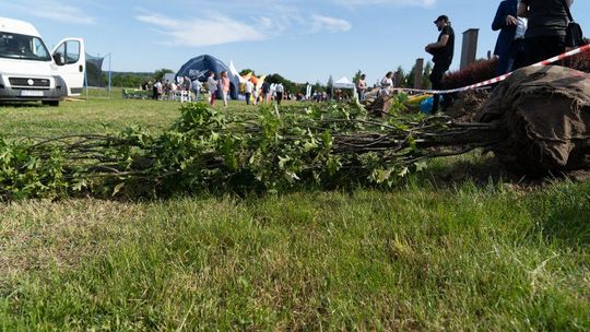 Piknik Ekologiczny w Rzeszowie "Nasze korzenie: sprzątanie i sadzenie"