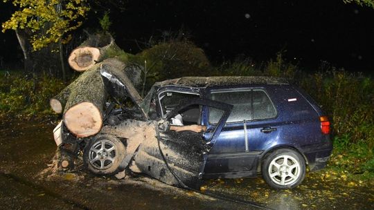 Drzewo runęło na samochód. Młody kierowca trafił do szpitala [ZDJĘCIA]