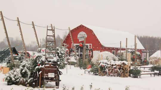 Farma Rzeszowska w zimowej scenerii [ZDJĘCIA]