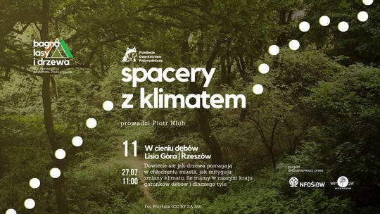 Spacer do rezerwatu przyrody Lisia Góra