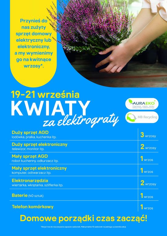 Kwiaty za elektro graty w Castorama Rzeszów!