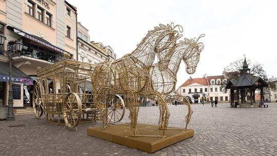 Rzeszów. Trwa montaż świątecznych ozdób [ZDJĘCIA]