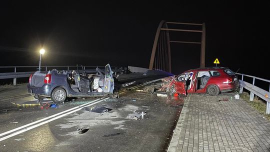 Dzik doprowadził do groźnego wypadku na wiadukcie w Rudnej Wielkiej [FOTO]