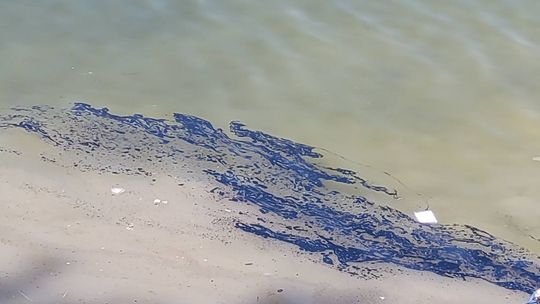 Odrzechowa. Samochód wpadł do zalewu z prozaicznego powodu