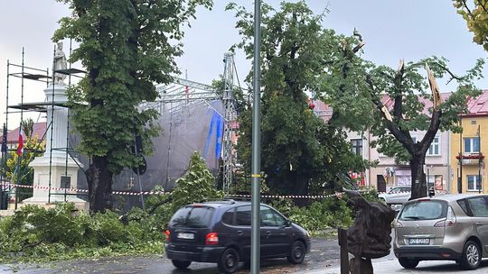 Dynów po wichurze