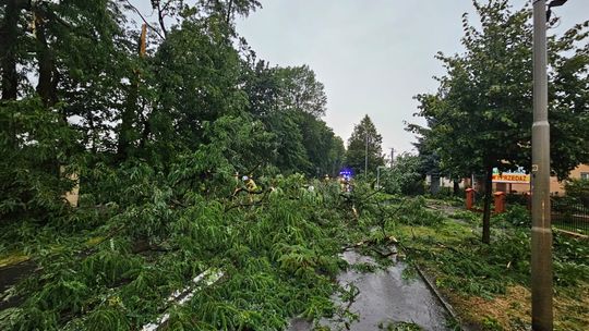 Powiat łańcucki po wichurze