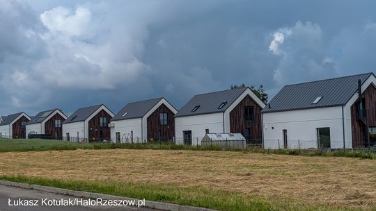 Dramat w Lutoryżu. W ogródku odkryto ludzkie szczątki [FOTO]