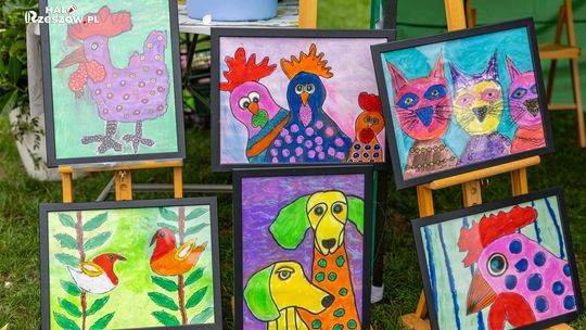 Rzeszowski Festiwal Kultury Obywatelskiej 2026 – III Piknik NGO