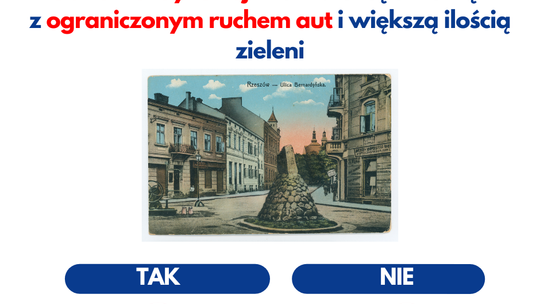 Czy popierasz przekształcenie  ul. Bernardyńskiej w tzw. ‘ulicę szkolną’  z ograniczonym ruchem aut i większą ilością zieleni