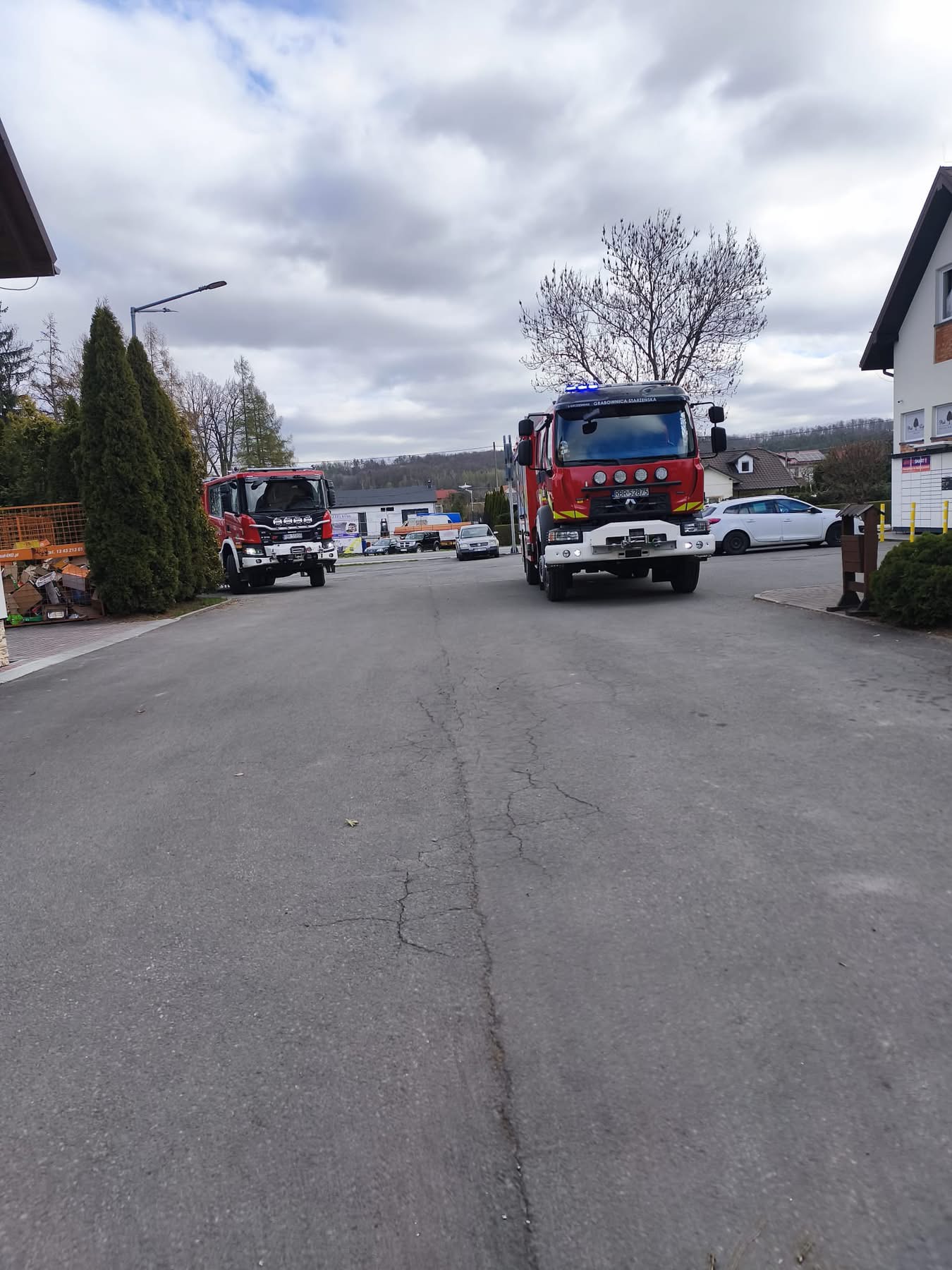 Spłoszony koń sparaliżował ruch na drodze wojewódzkiej. Interweniowały służby, właściciel ukarany