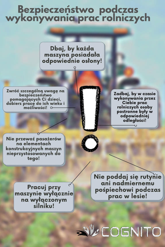 COGNITO RZESZÓW