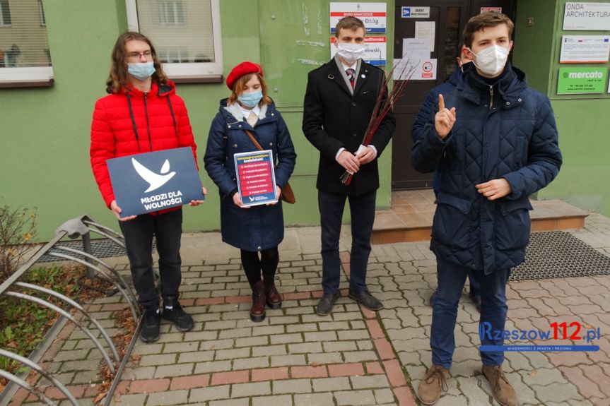 Młodzi dla Wolności: 